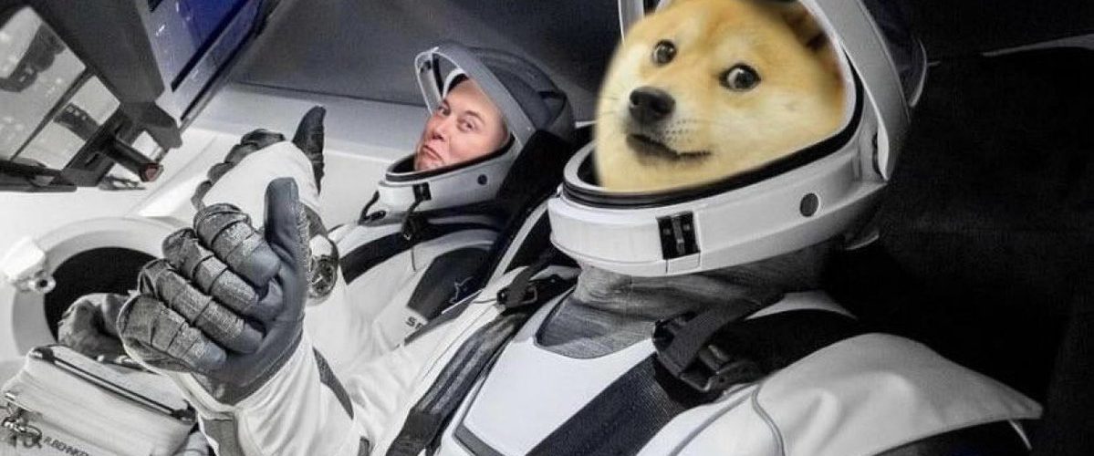 DOGE to the Moon!